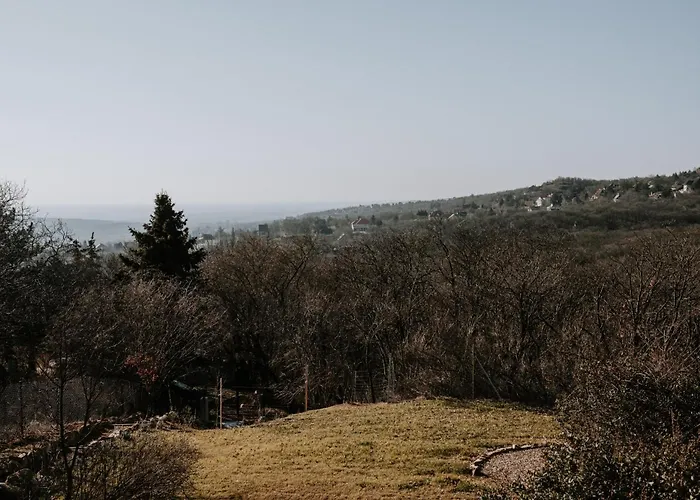 Suqo Vendeghaz